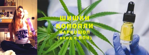 PSILOCYBIN Алзамай