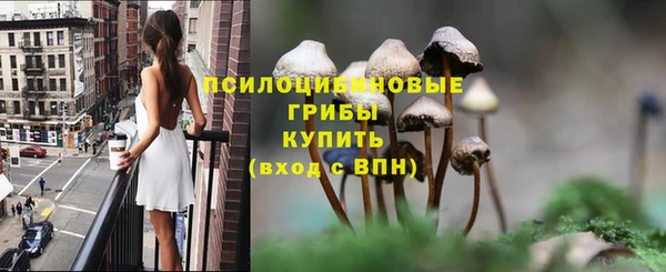 метадон Алексеевка
